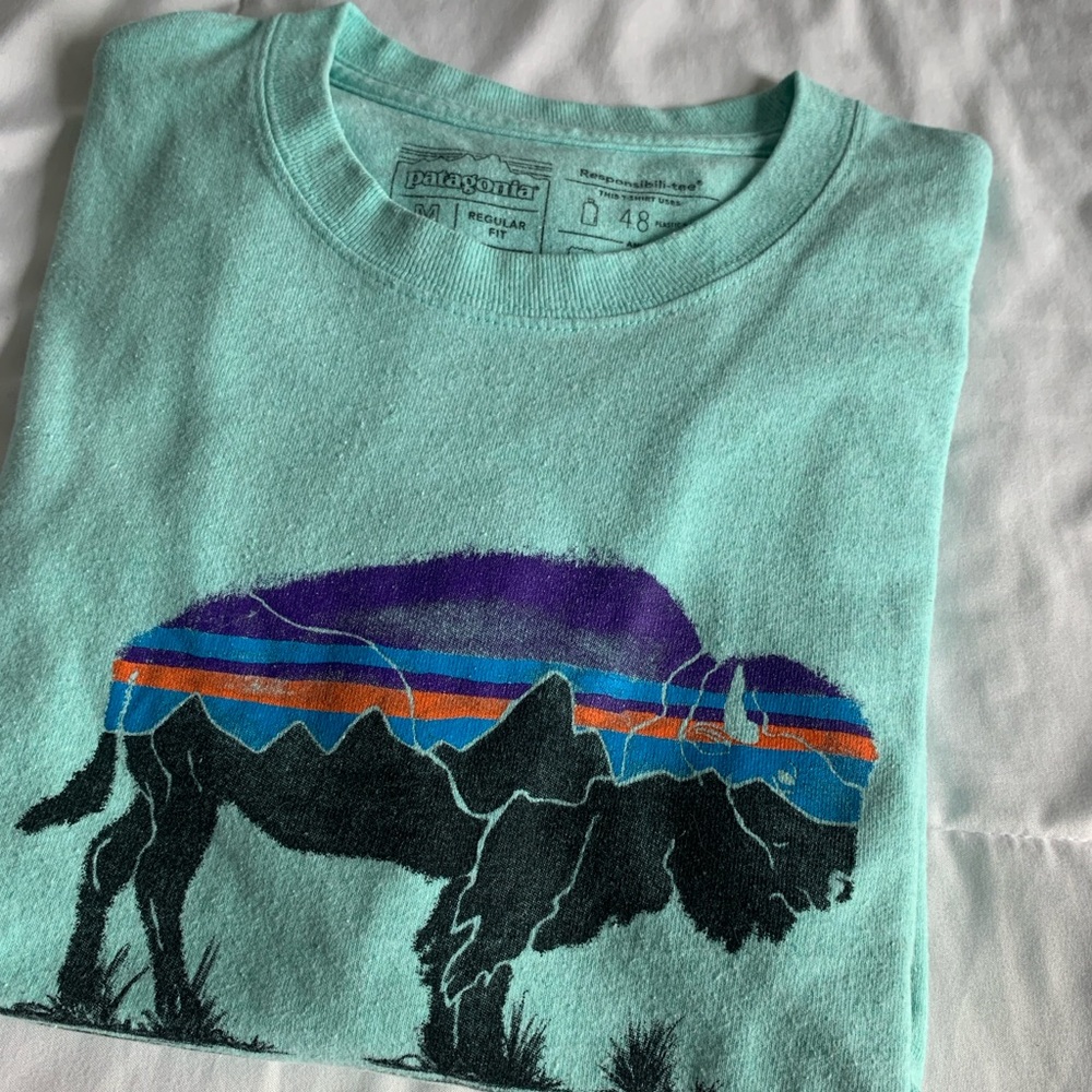 Men's Graphic T-Shirt in Teal